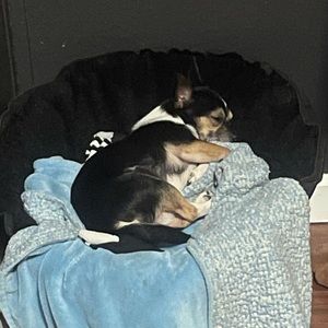 Meet your Posher, Tiffany